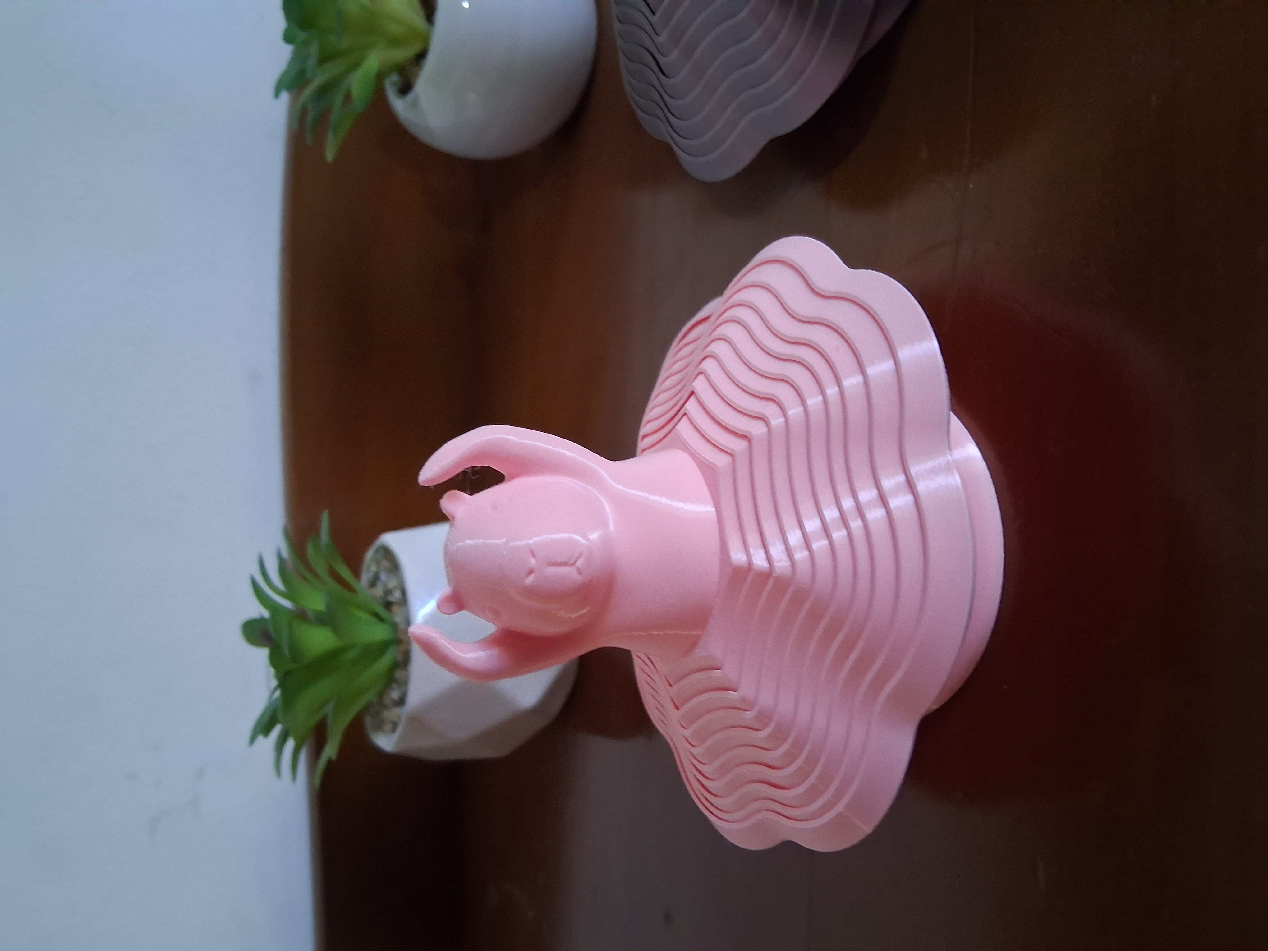 20260719_134141.jpg
